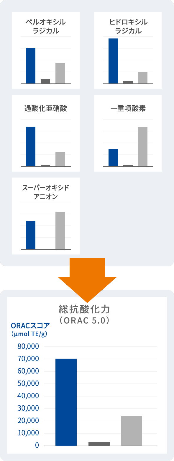 高い抗酸化力を持つユニベスティン図